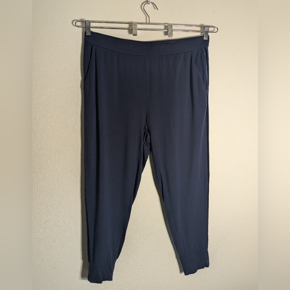 Eileen Fisher Womens Joggers Sweat‎ Pants Velvet Racing Stripe Sporty Plus Sz 1X